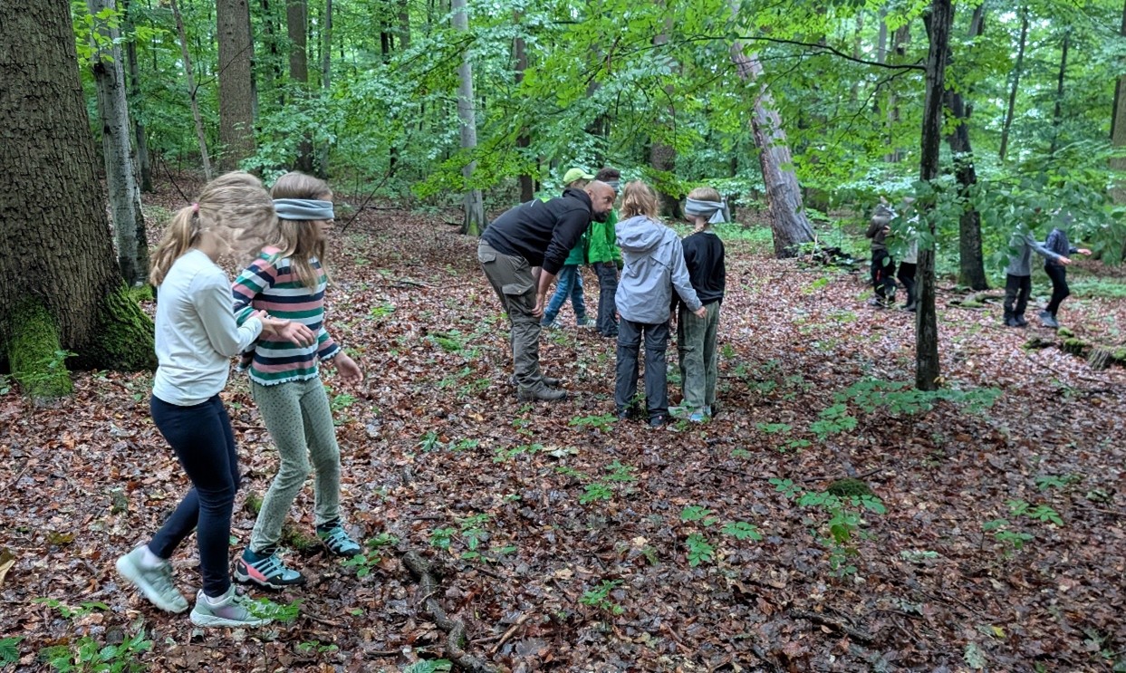 Waldvormittage Alleengrundschule Mai – Juli 2025 Bild