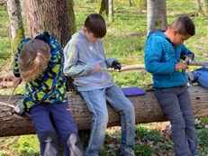 WALDTAGE 2026 Bild